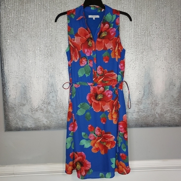 Foxcroft Adessia Hibiscus Floral Dress - Picture 3 of 11